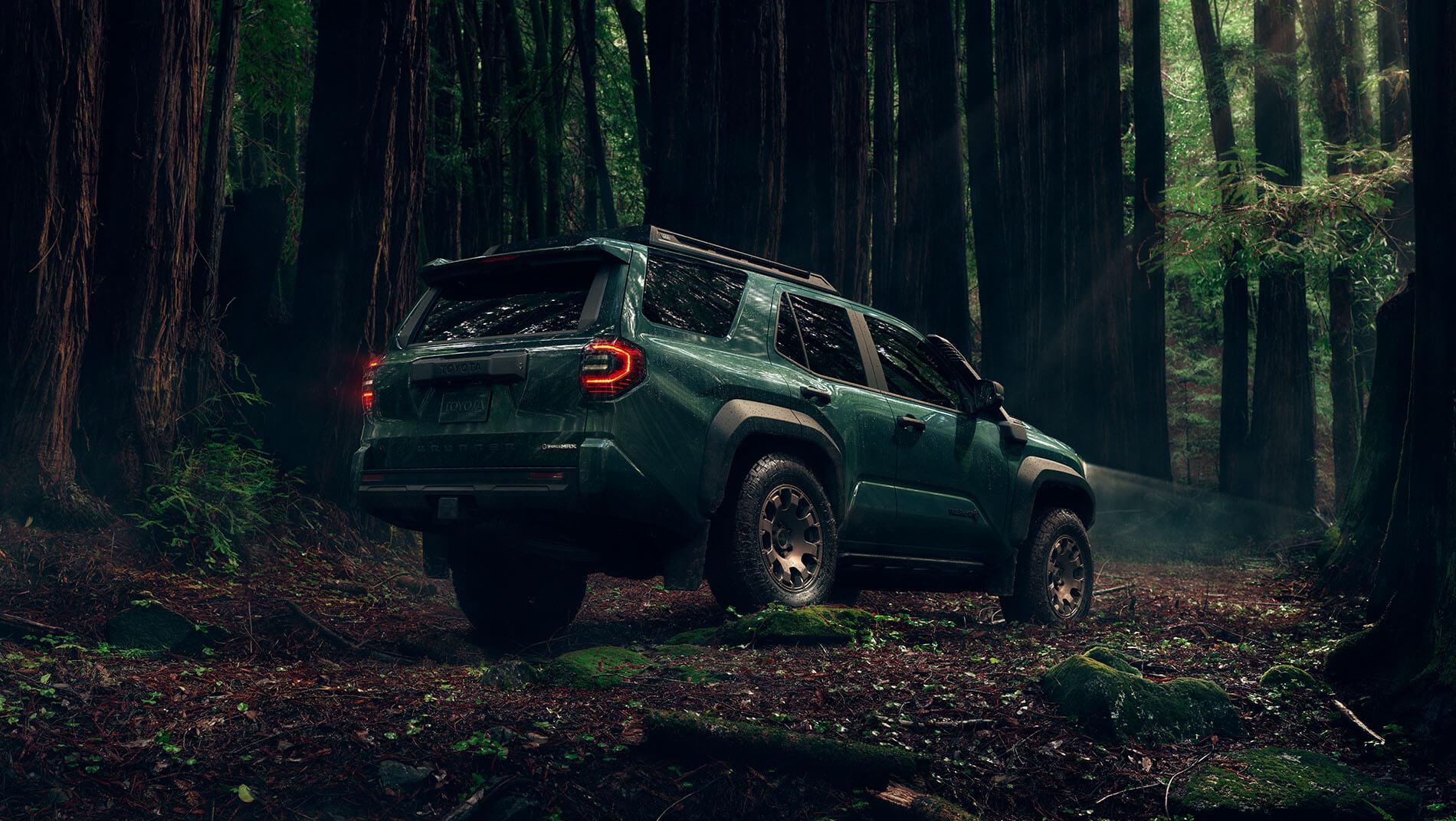 Off-Road to Off-Grid