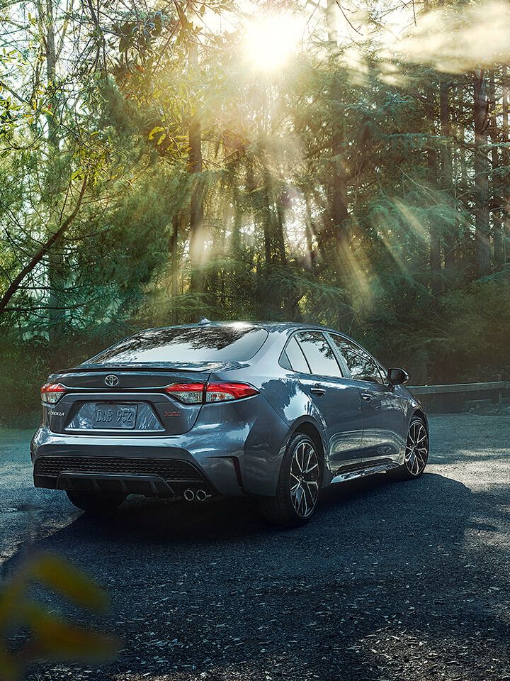 2022 Corolla XSE in the forest