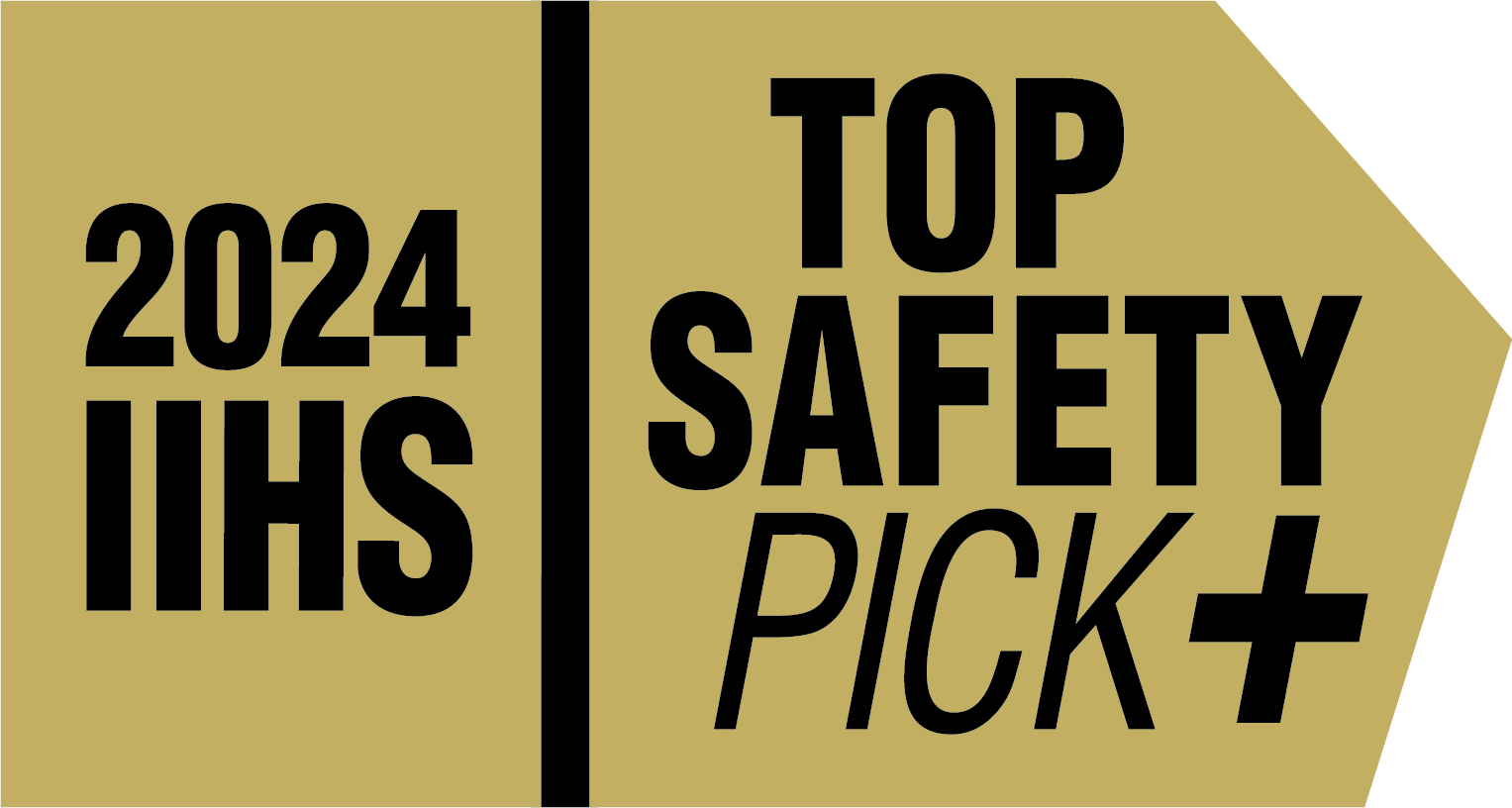 Gold badge with black text reading "2024 IIHS | TOP SAFETY PICK+" indicating a top safety award from the Insurance Institute for Highway Safety.
