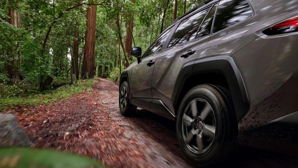 A grey SUV drives along a narrow dirt path through a lush, green forest, with tall trees and dense foliage on both sides of the trail.