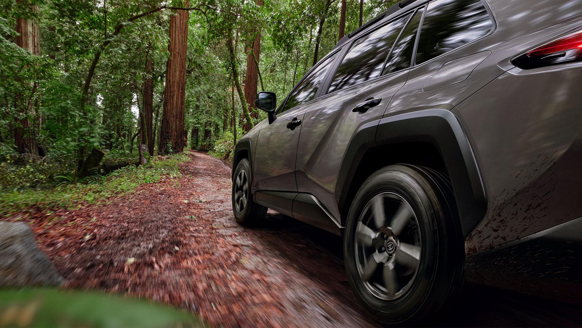 A grey SUV drives along a narrow dirt path through a lush, green forest, with tall trees and dense foliage on both sides of the trail.