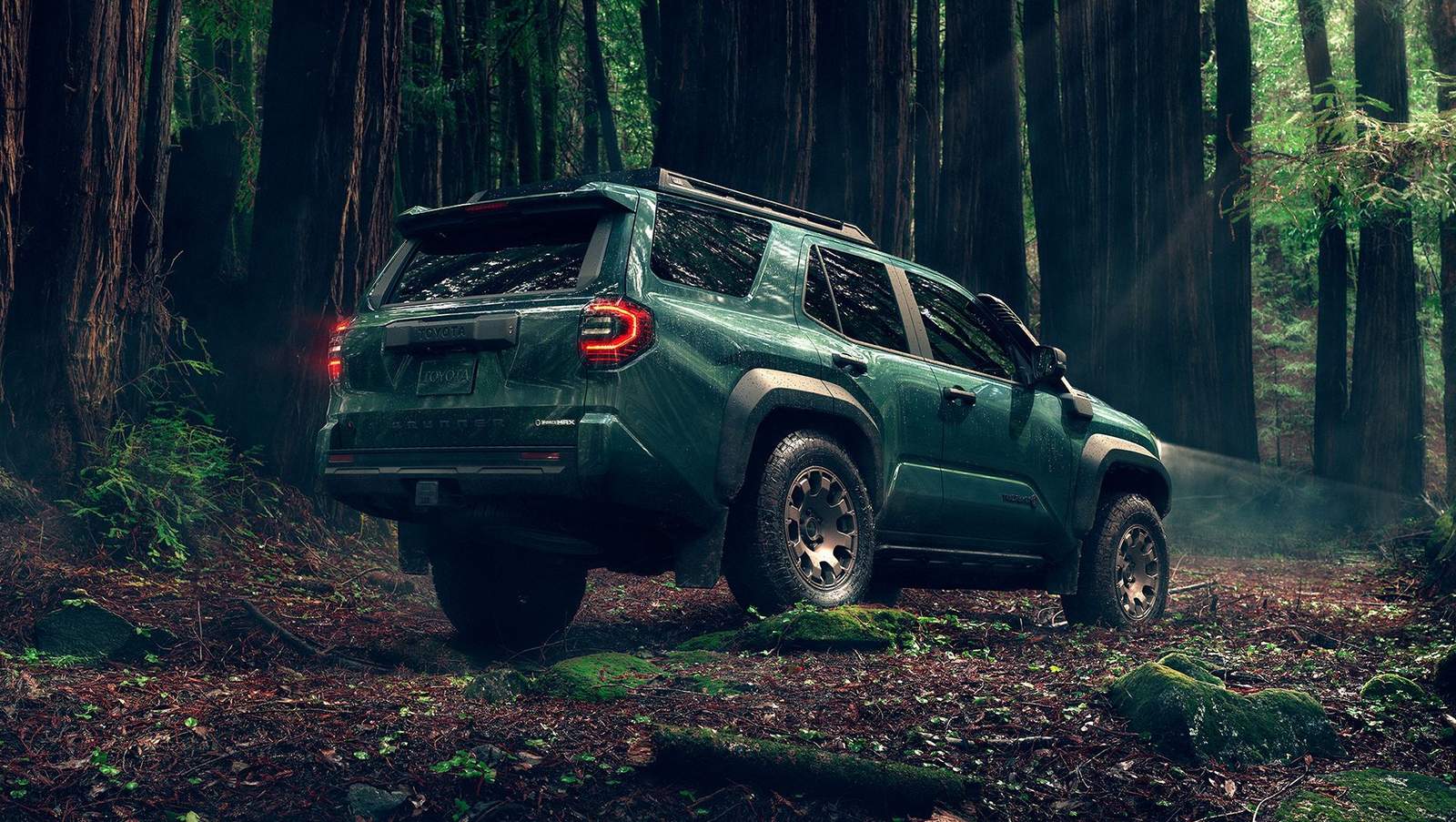 A green 2025 toyota 4runner is parked in a lush, dense forest with tall trees surrounding it. The SUV's taillights are illuminated.