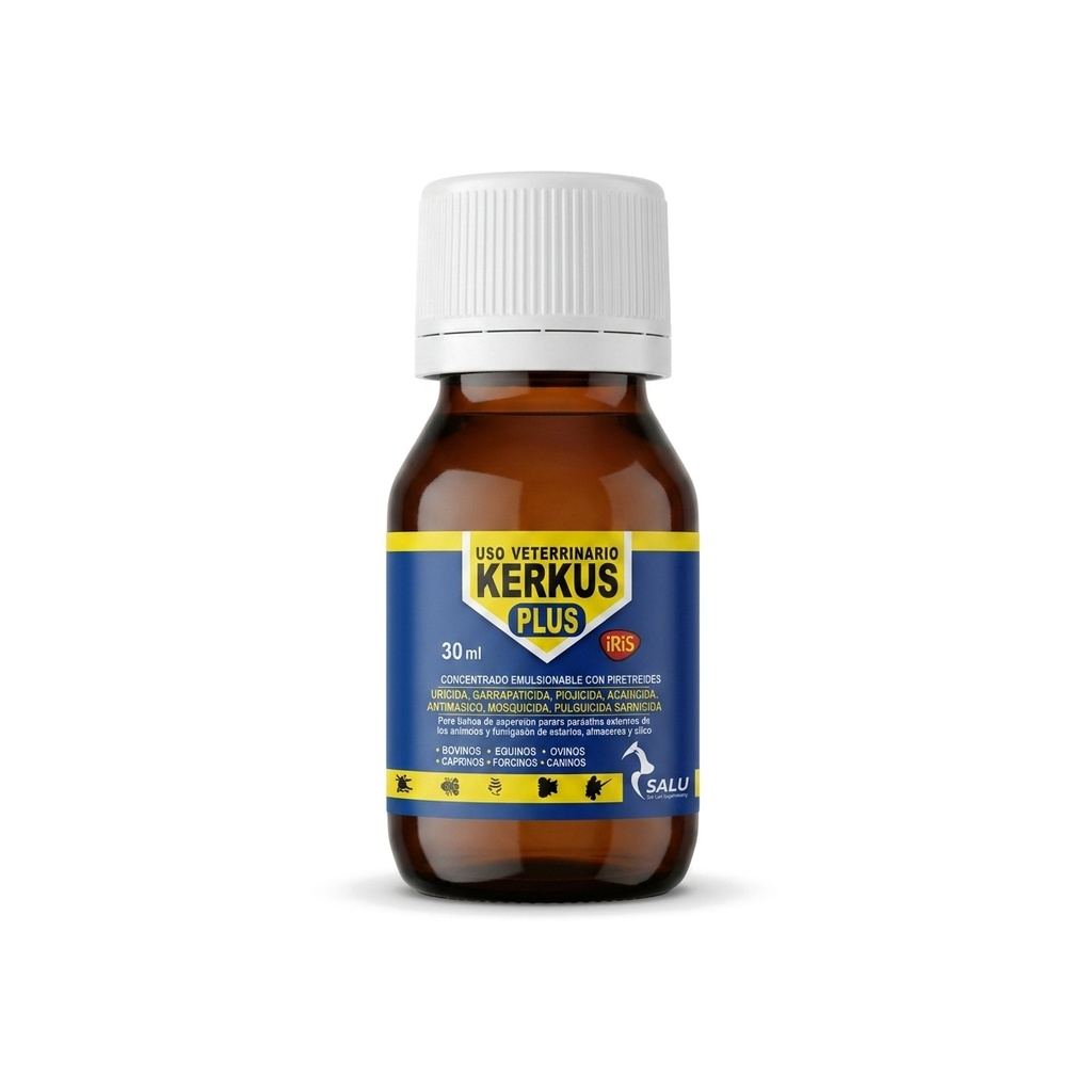 Kerkus plus