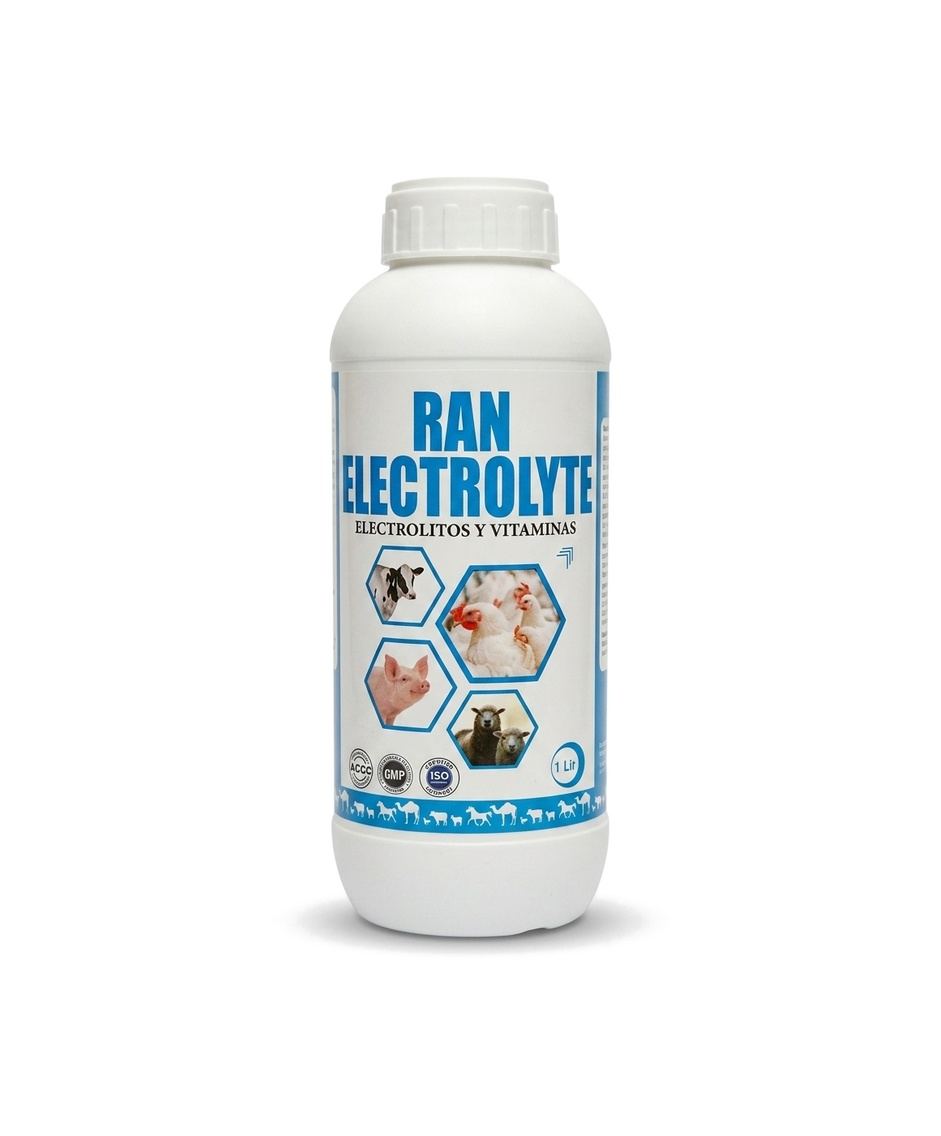 RAN electrolyte