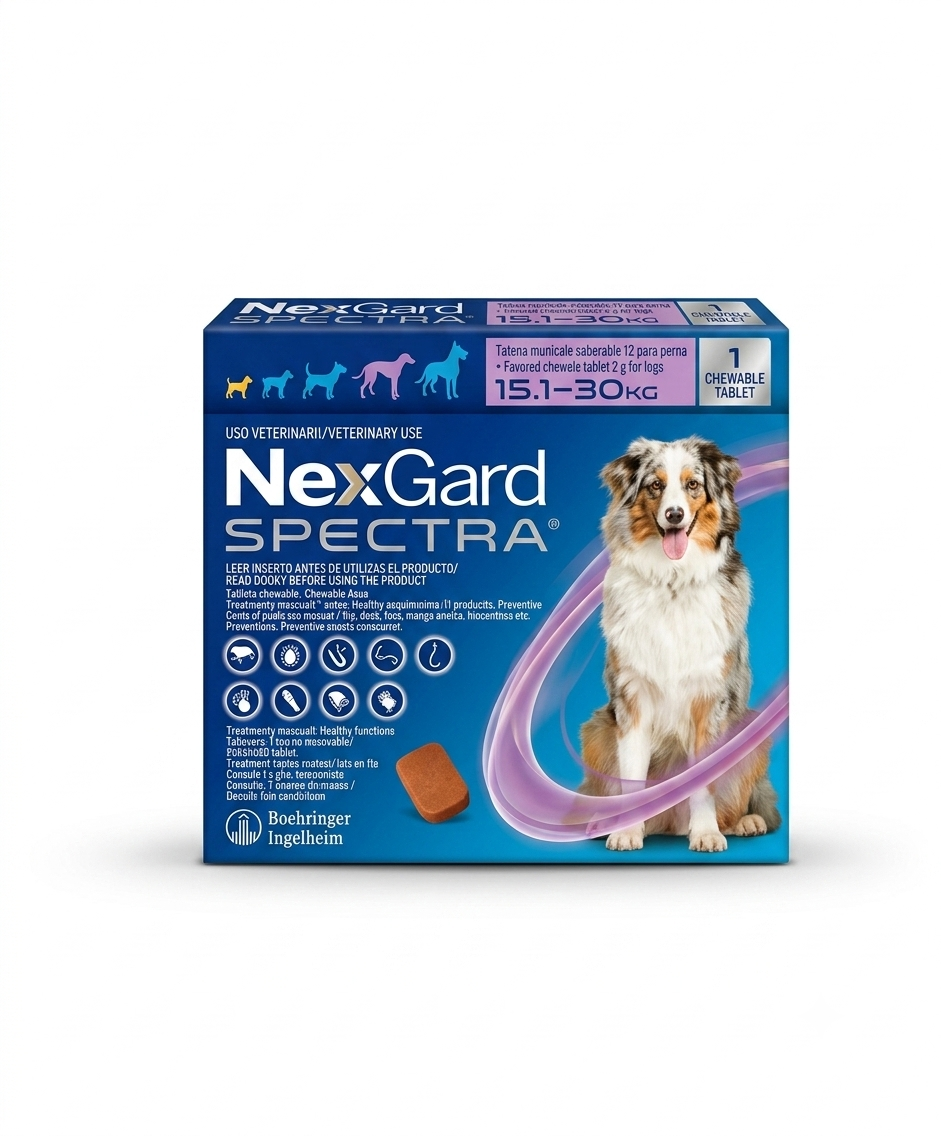 Nexcard Spectra