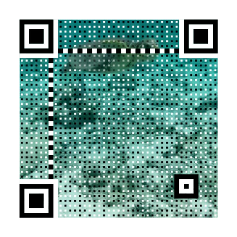 Animated QR Codes 4