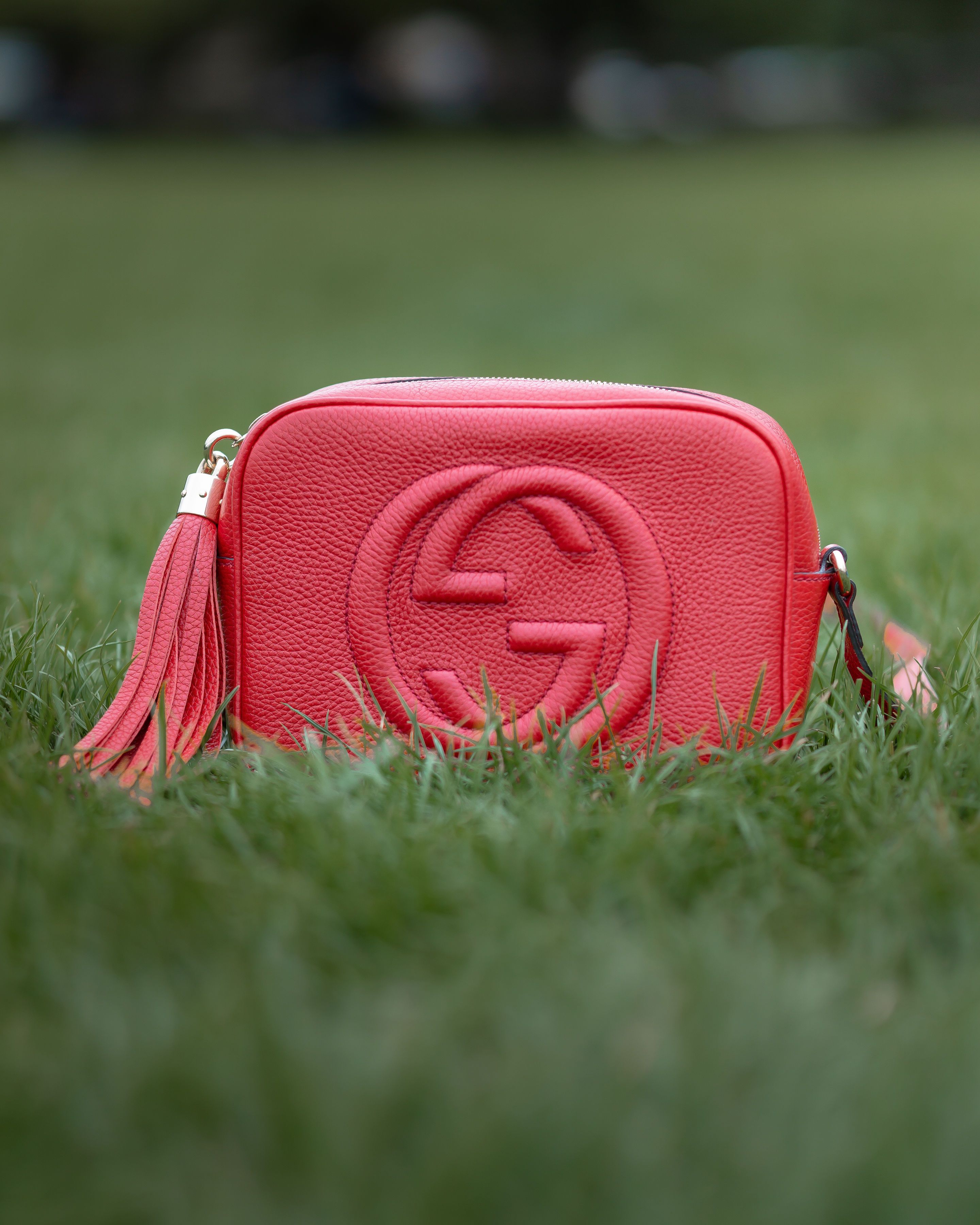 Liner to Fit Disco Soho bag 3