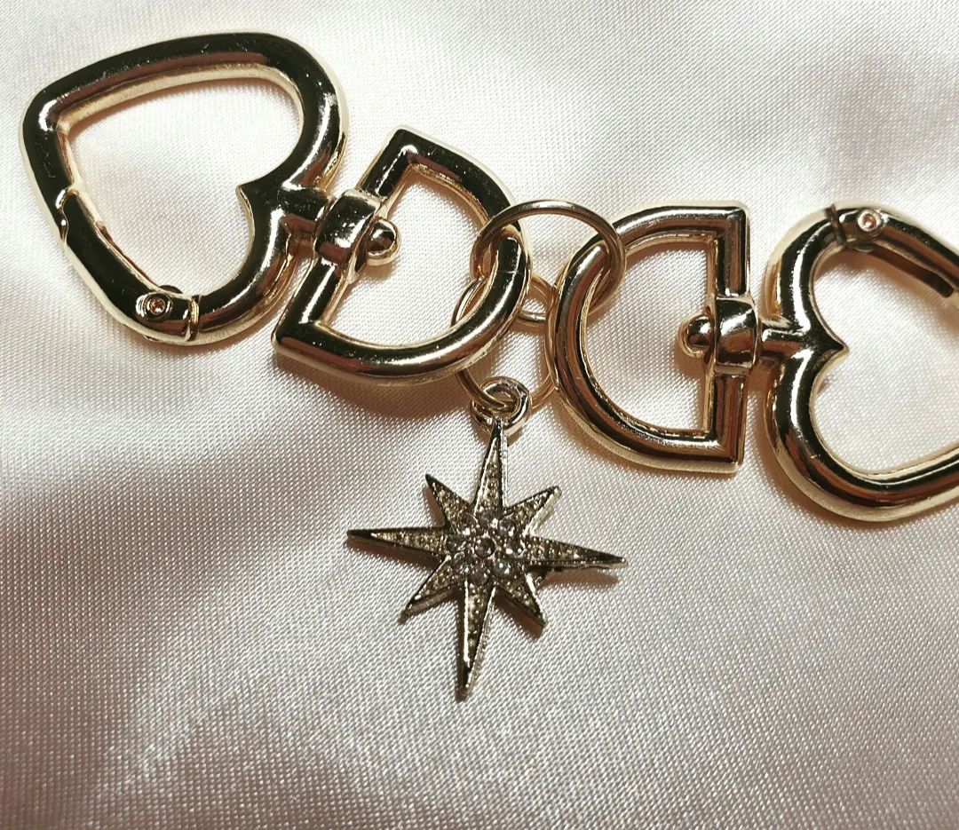 Clips Cinchers for Neverfull tote 3