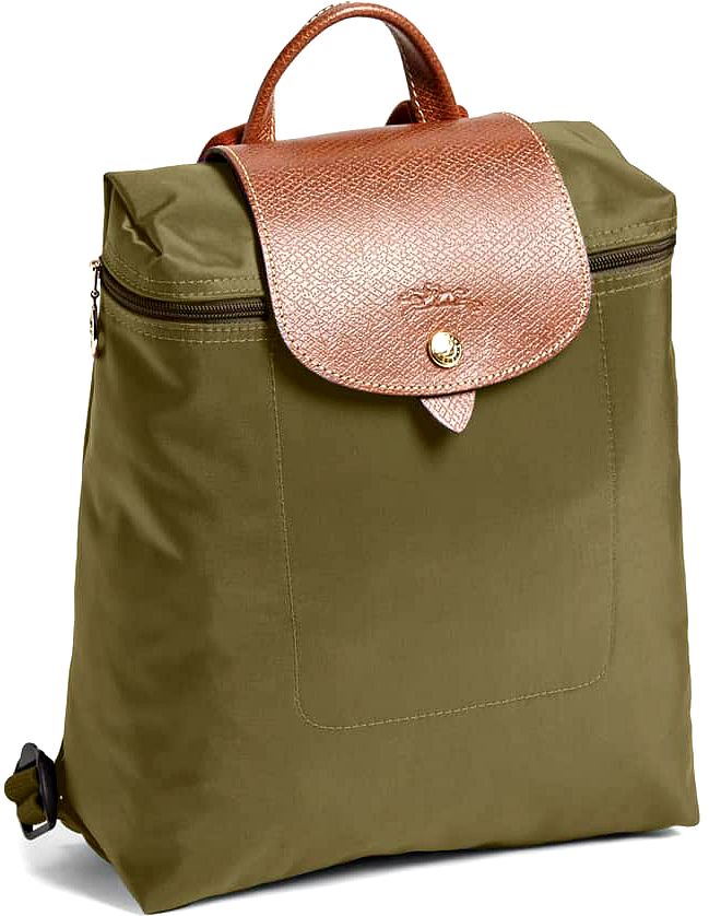 Liner to Fit Le Pliage Backpack 2