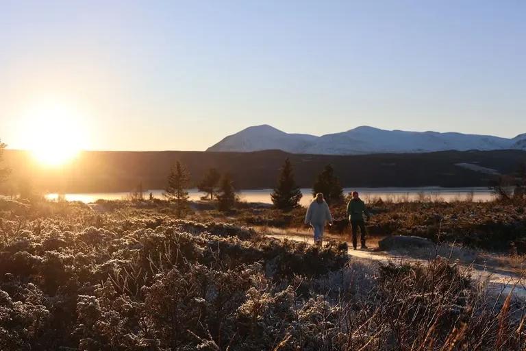 Cover photo for the Soul Search retreat at Nøsen