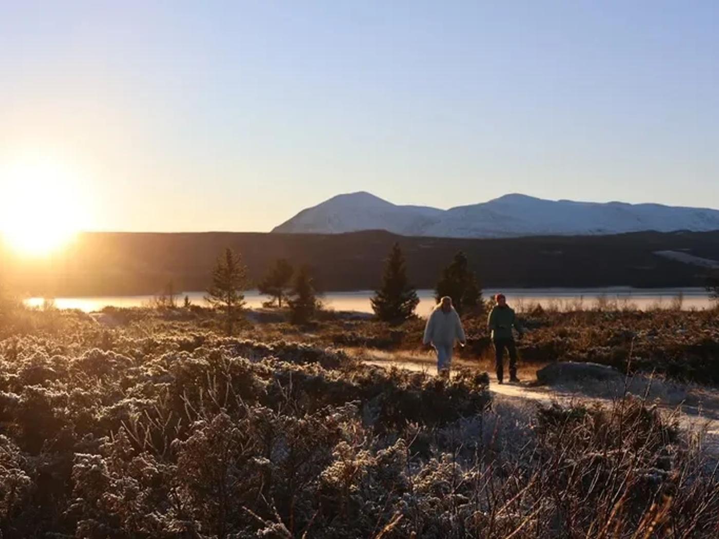 Cover photo for the Soul Search retreat at Nøsen