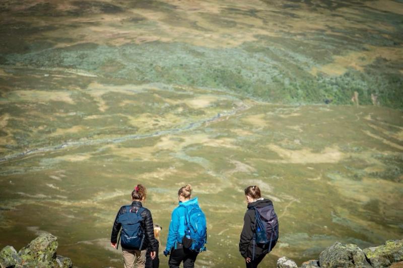 Three hikers looking out over a mountain lake