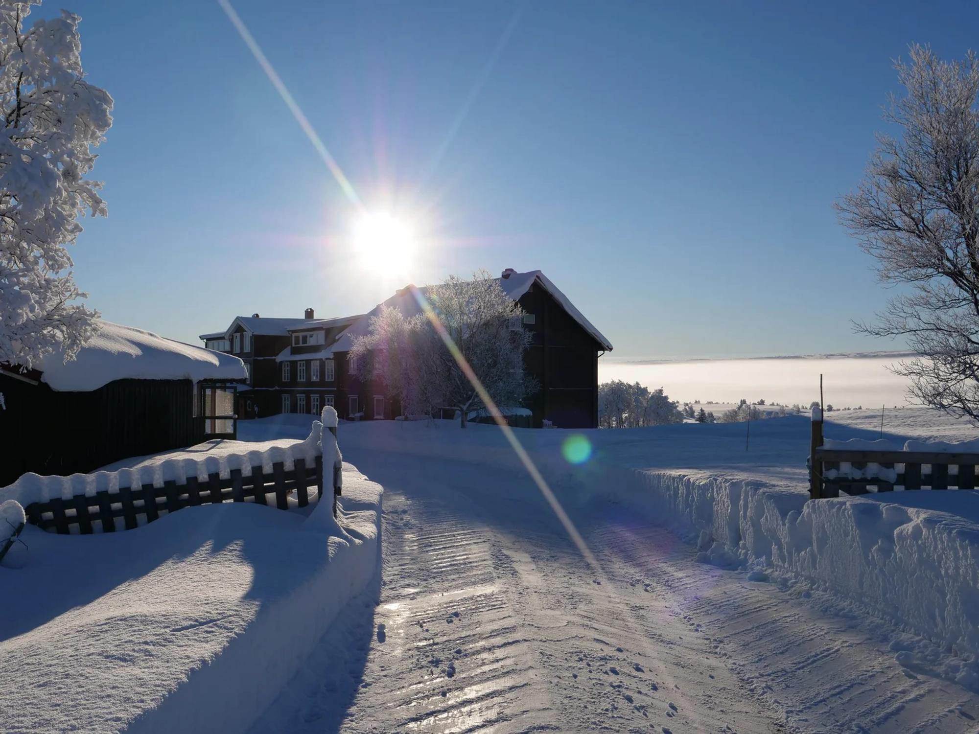 Nøsen in winter