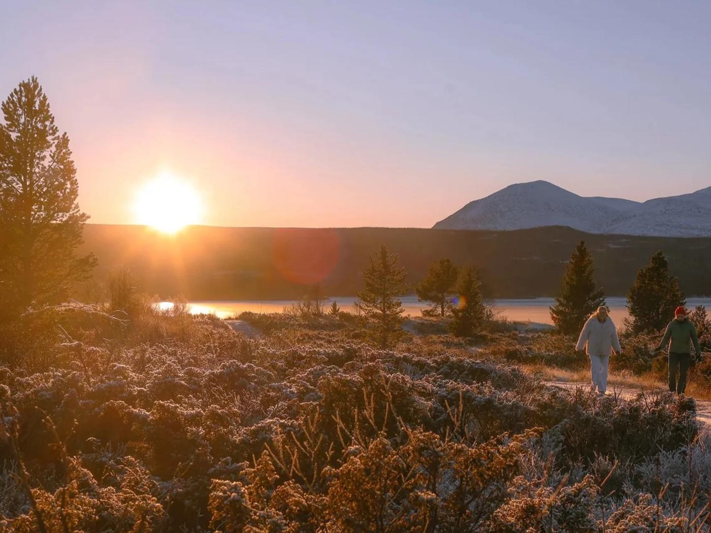 Yoga retreat in the Norwegian mountains
