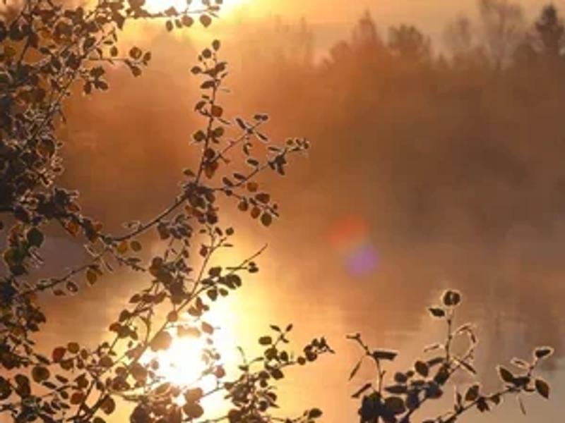 The URO Method: a Portal to Freedom and Balance