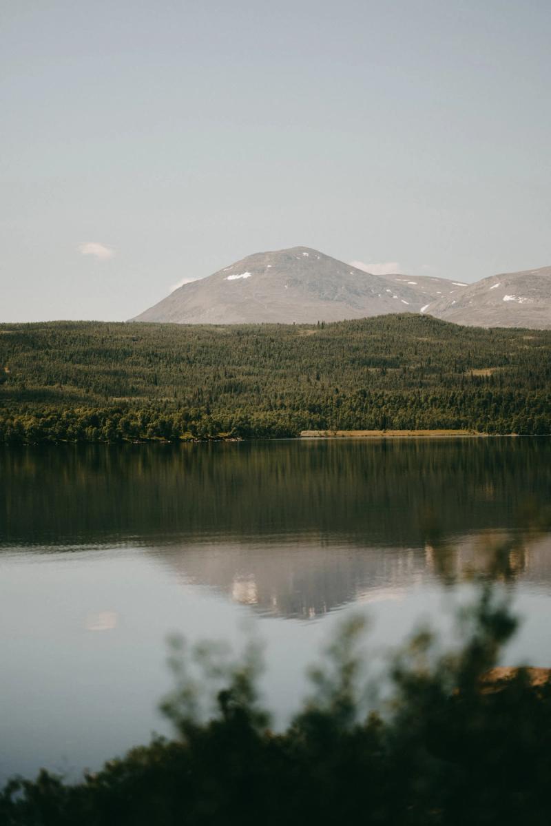 The lake reflecting the forest and a snow-streaked peak in summer
