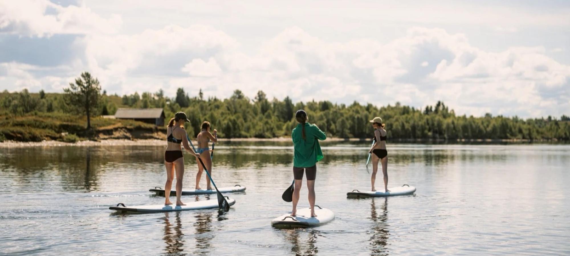 Four people stand up paddling on the calm lake in summer