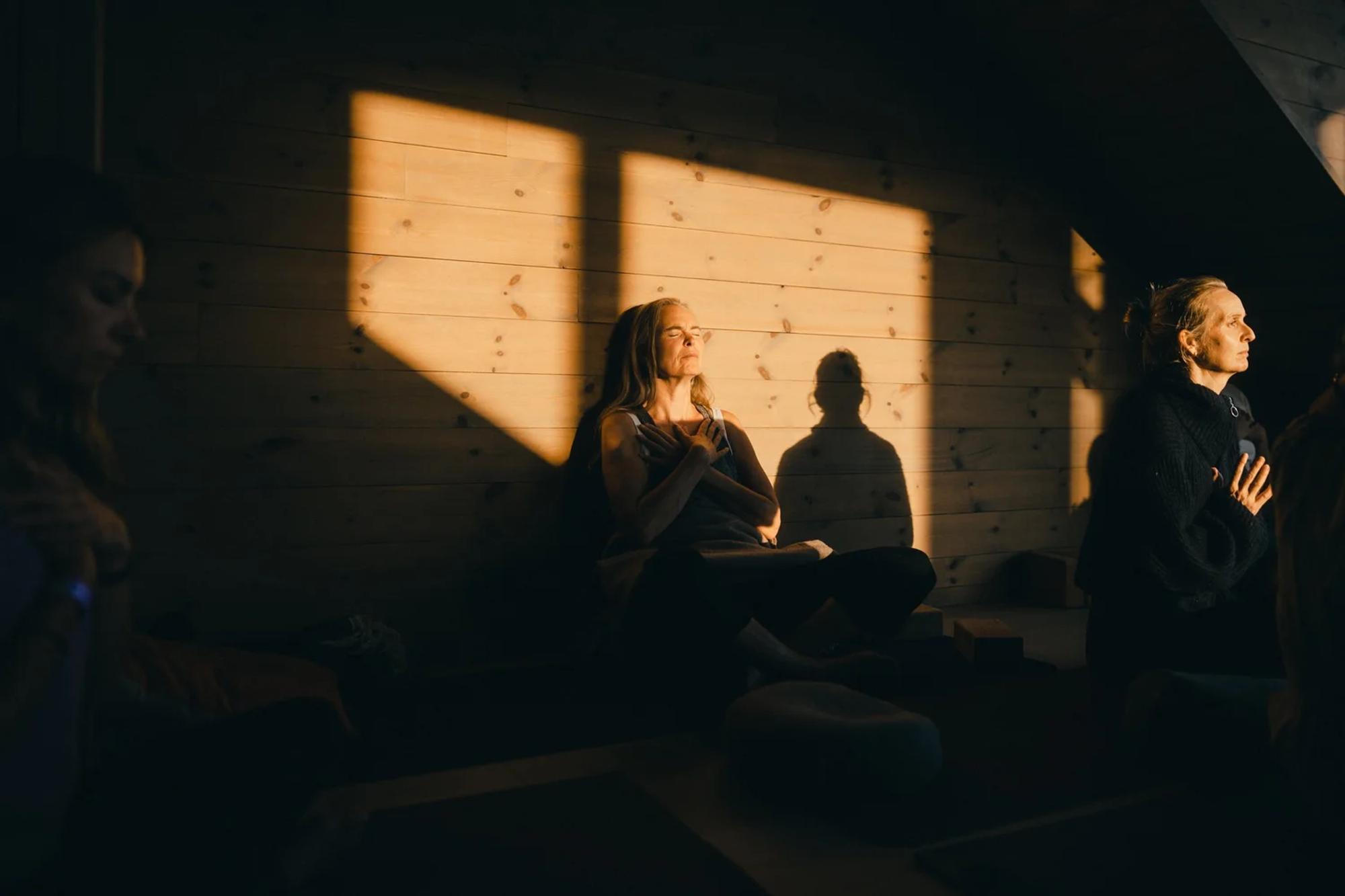 The Yoga Festival 2025 at Nøsen