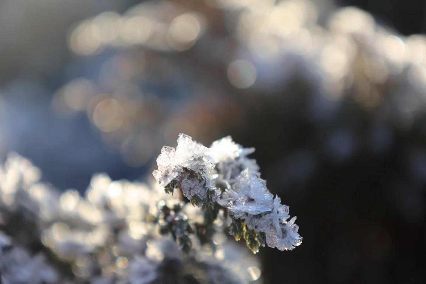 Nøsen in the cold, November 2025