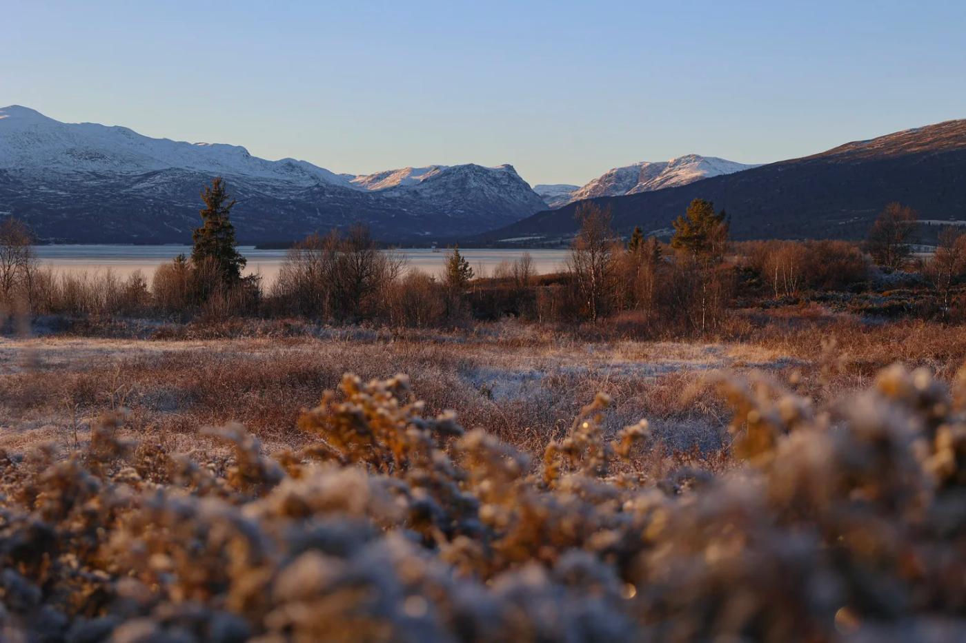 Nøsen in the cold, November 2025