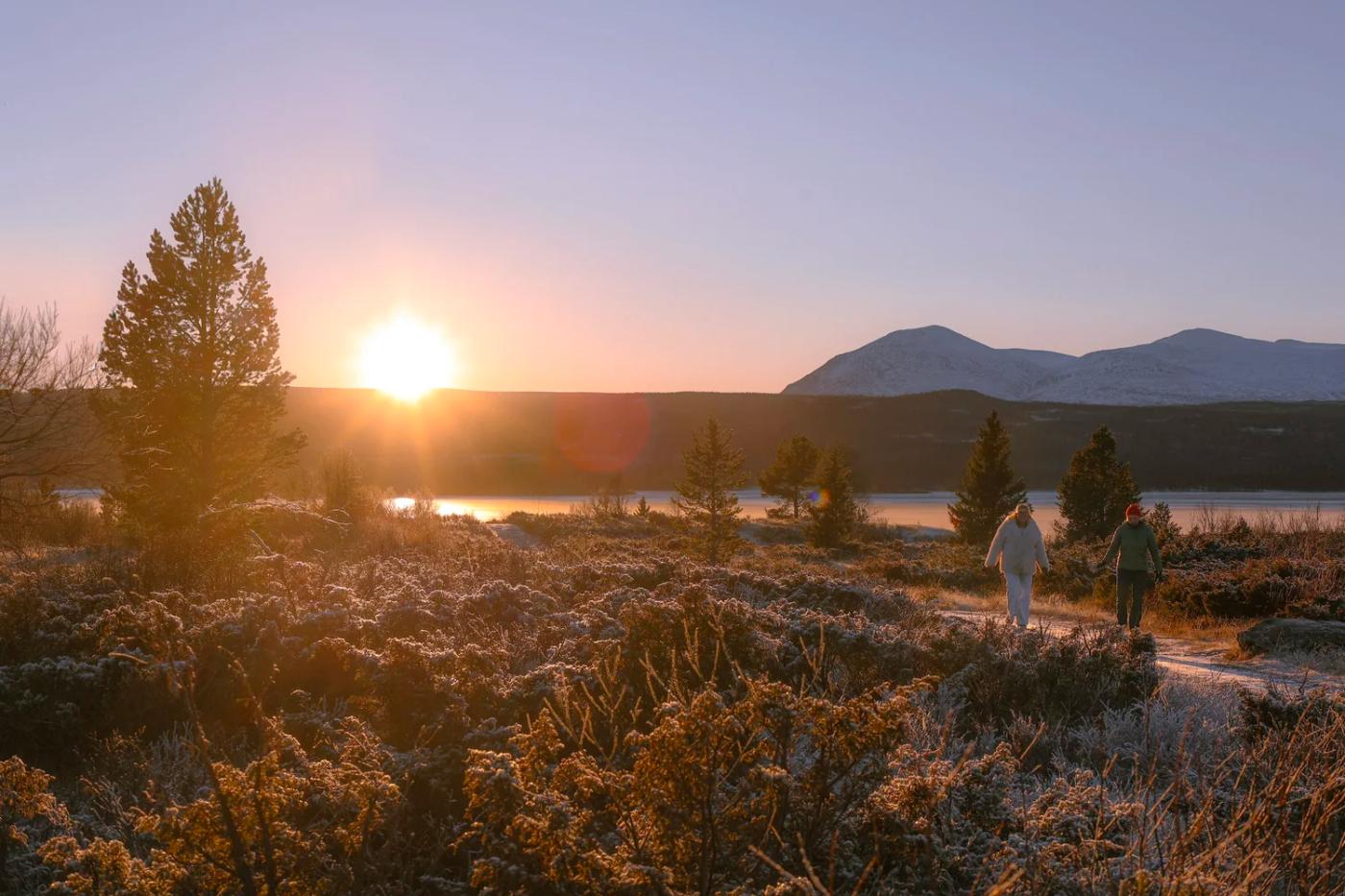Nøsen in the cold, November 2025