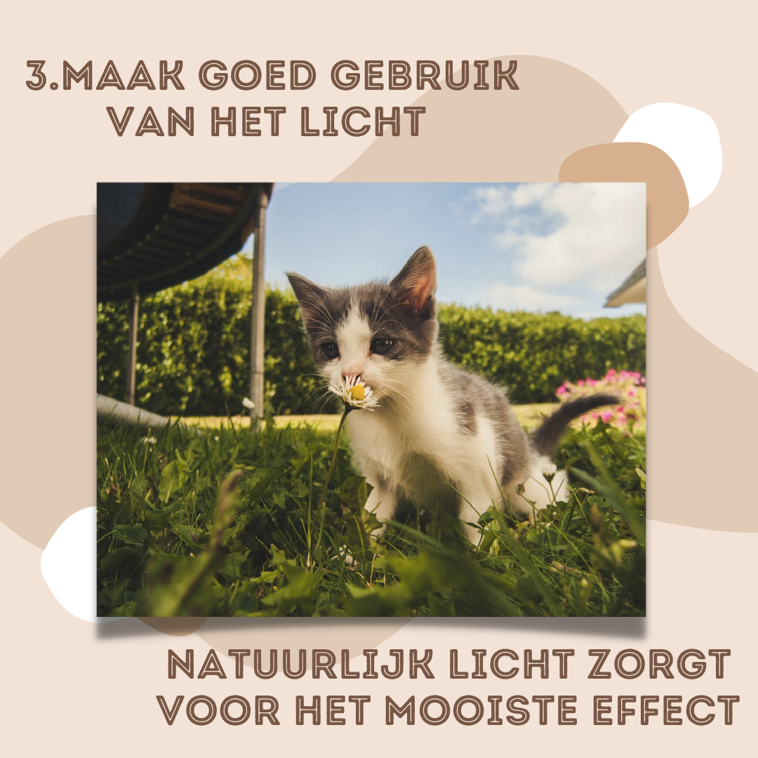 Stabiele houding bij fotograferen