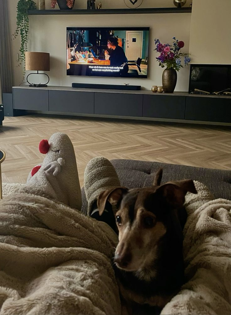 Kerstfilmavond met huisdier