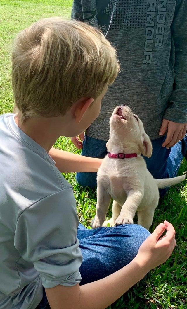 Puppy juicht in nieuw huis