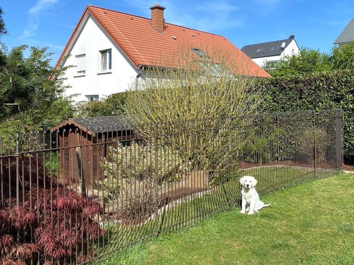 Tuinomheining veilig voor honden