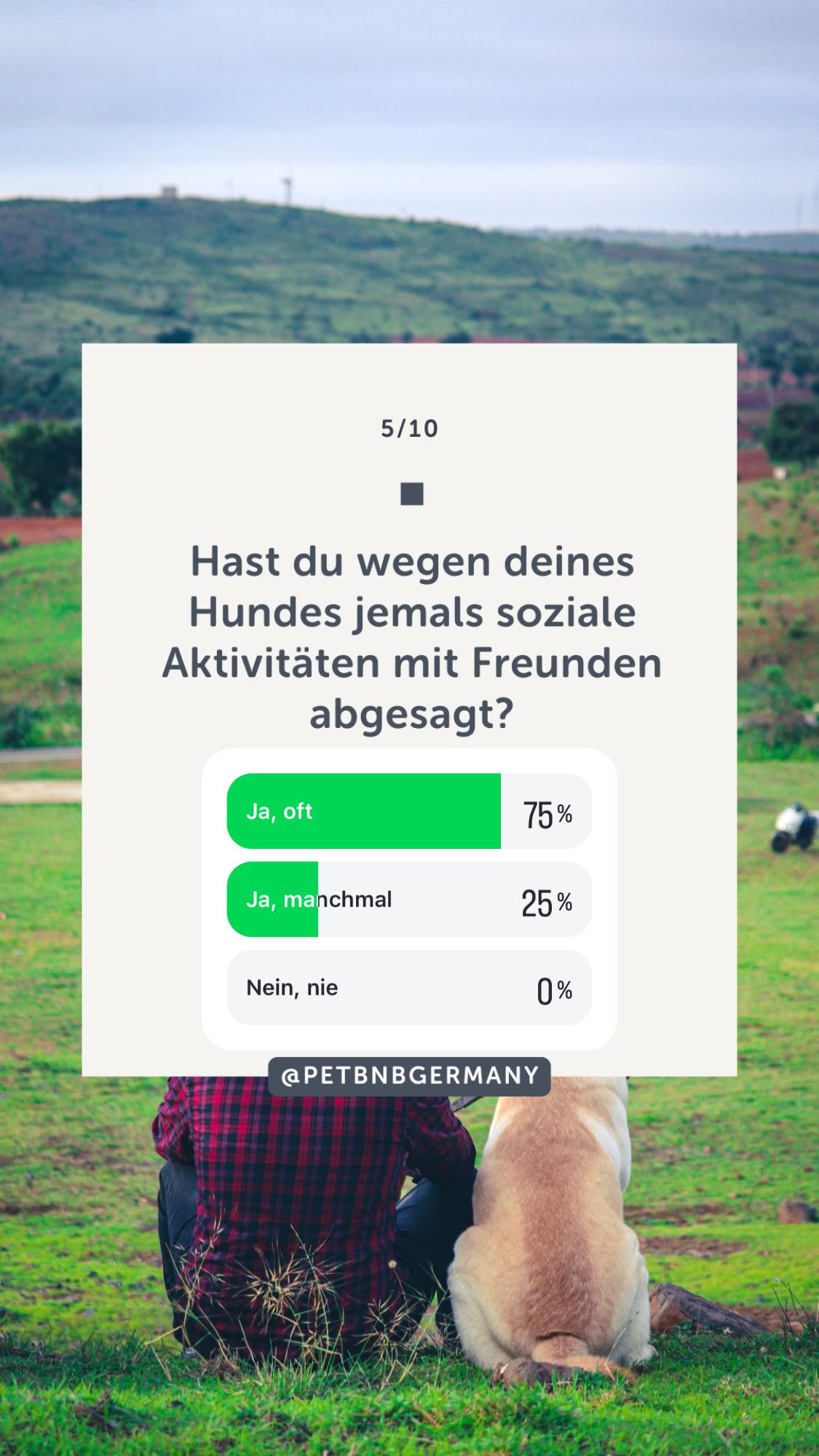 Wie Hunde unsere Partnerschaften beeinflussen