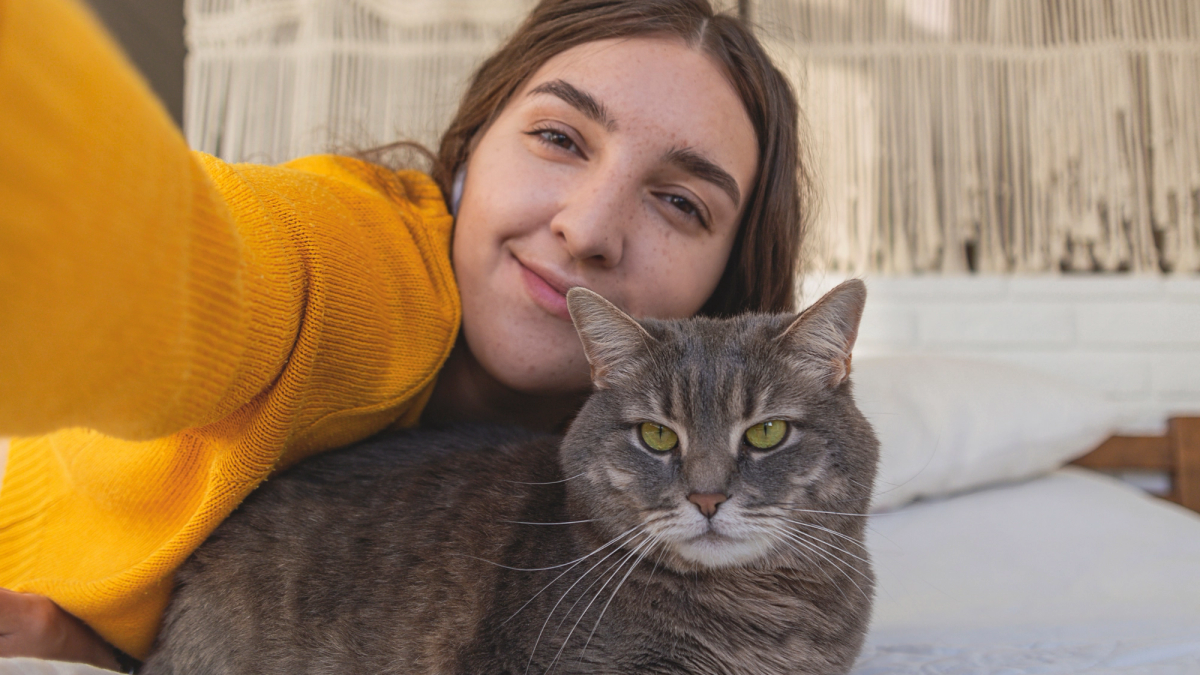 Kattenoppas aan huis als rustig alternatief voor vakantie