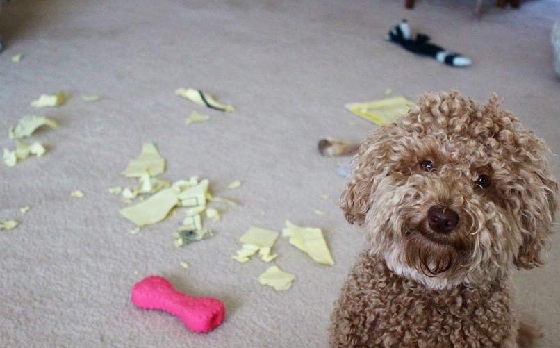 Doodle met papierrommel