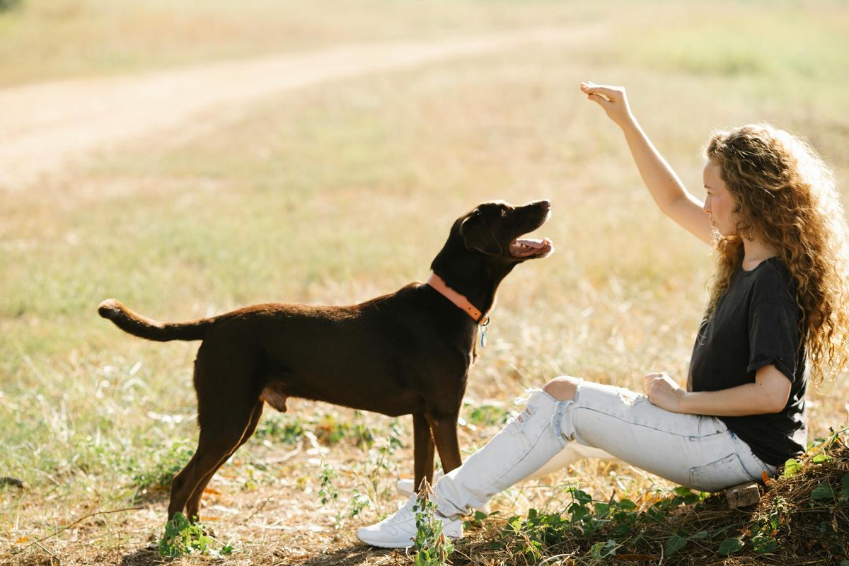 Frau trainiert mit Hund im Freien