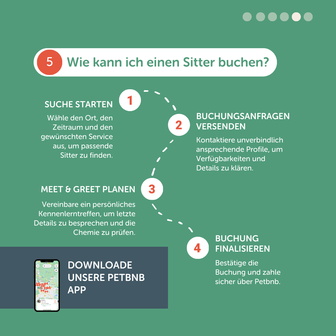 Die besten Black-Friday-Rabatte – von Hunden gestaltet