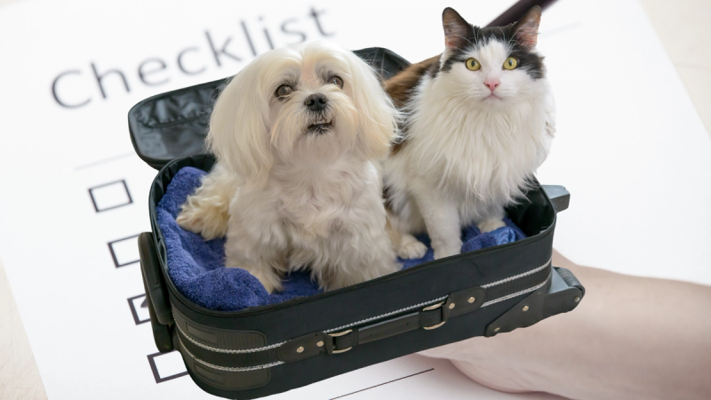 Checklist huisdieroppas
