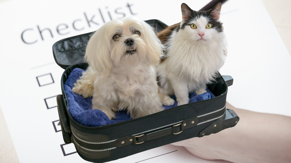 Checklist huisdieroppas