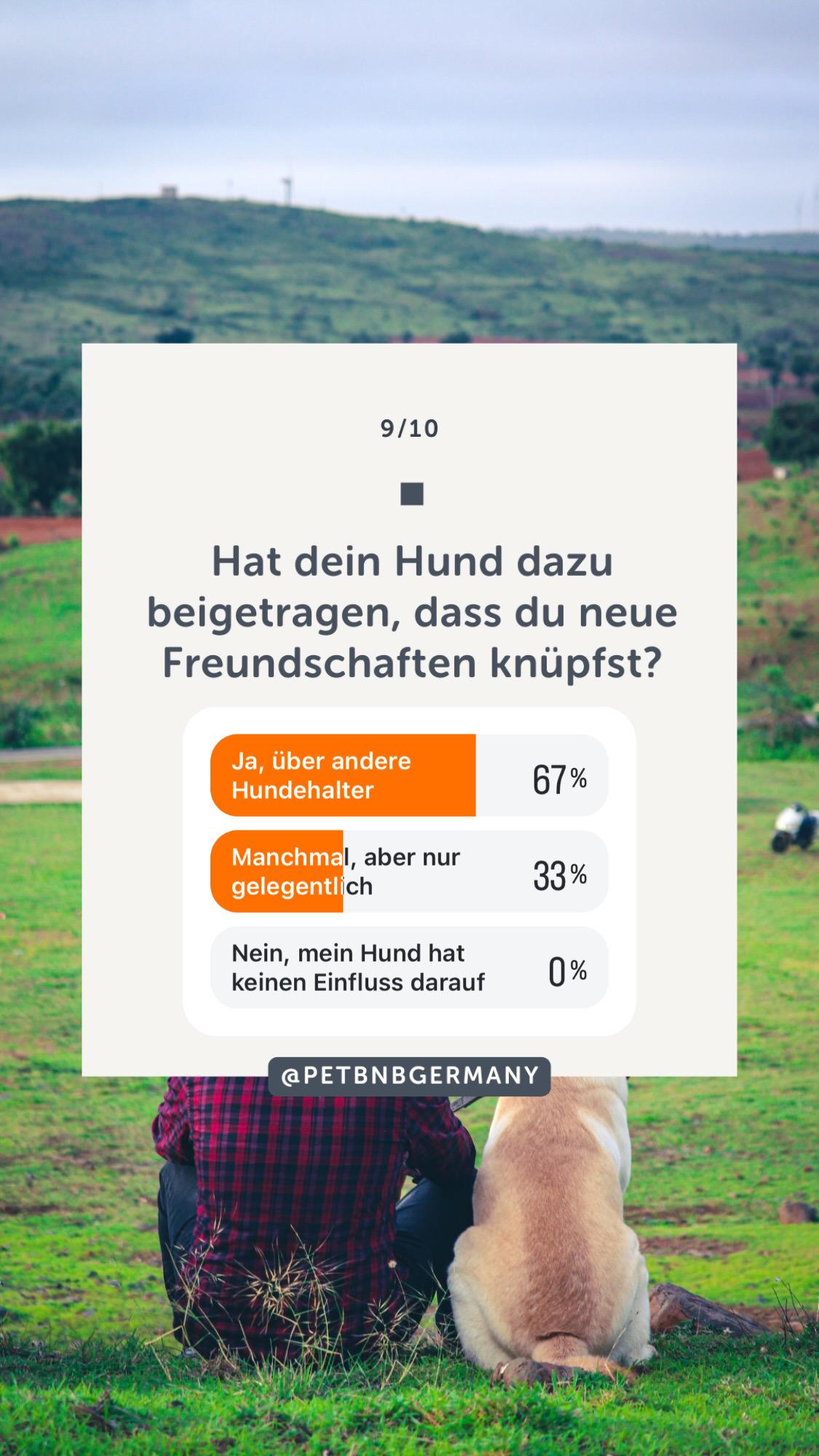 Wie Hunde unsere Partnerschaften beeinflussen