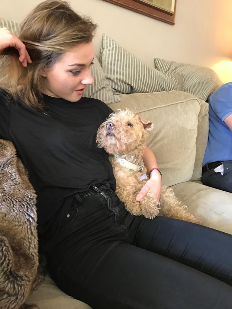 Hond bezoekt voor het eerst het huis van de oppas