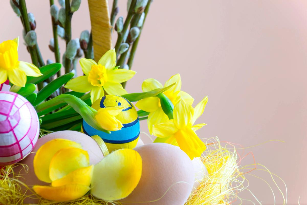 Frohe Ostern: Wie du mit deinem Hund das Fest genießt