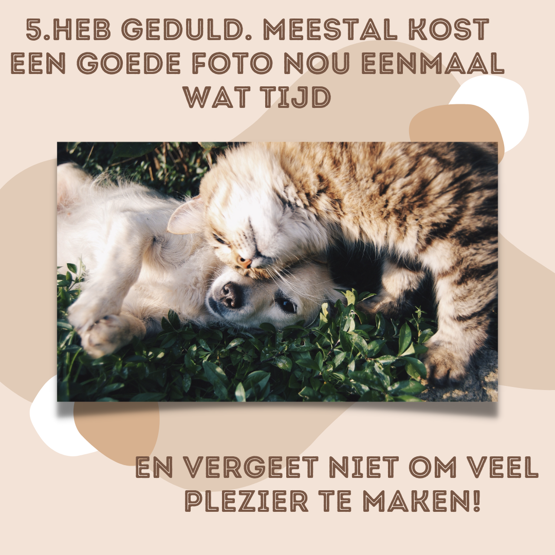 Huisdier met eigen karakteristieke pose