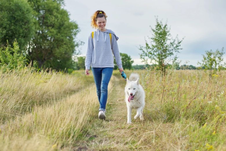 Oppas maakt wandeling met logeerhond