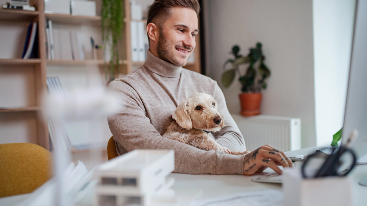 Thuiswerkplek met ontspannen hond in mand
