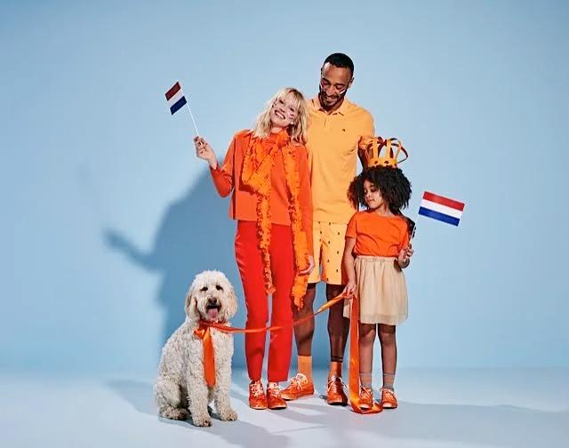 Kat met oranje accessoires
