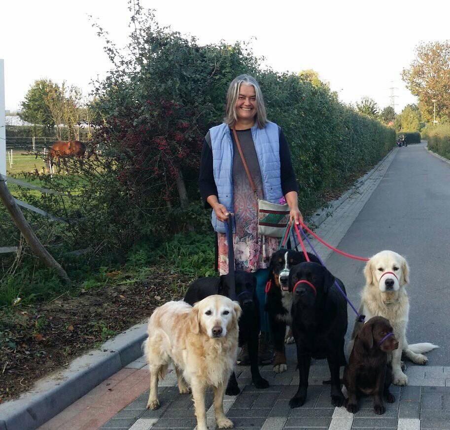 Oppas met meerdere honden aan de lijn tijdens proefwandeling