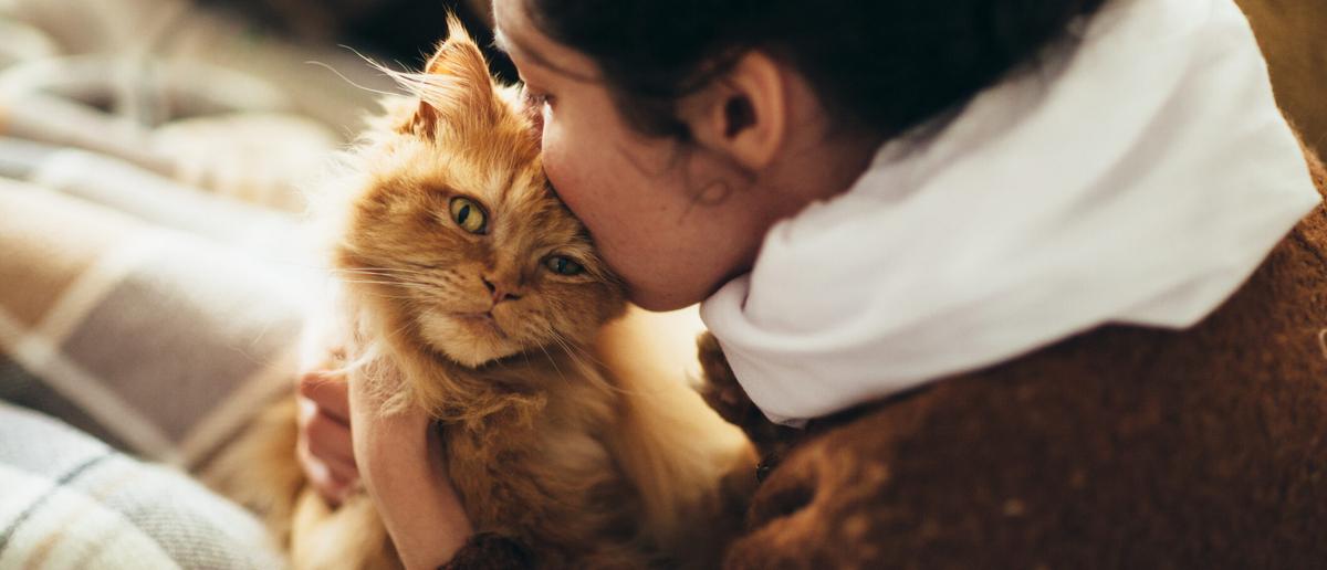 Baasje praat met kat