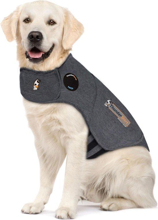 Hond met thundershirt