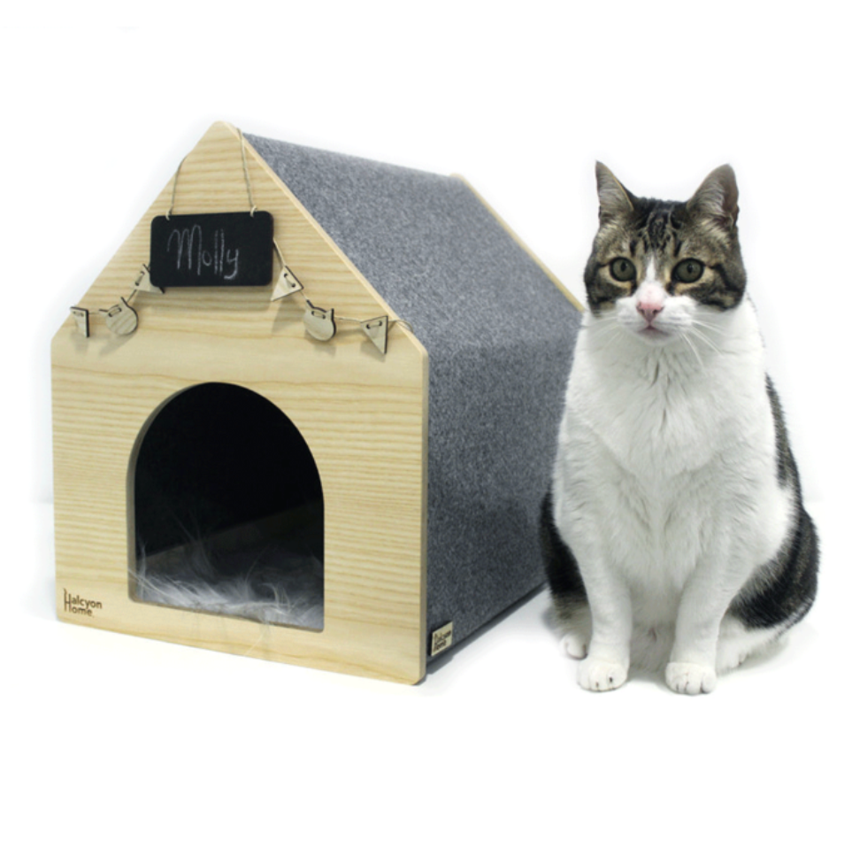 5 besondere Weihnachtsgeschenke für die Katze, die alles hat