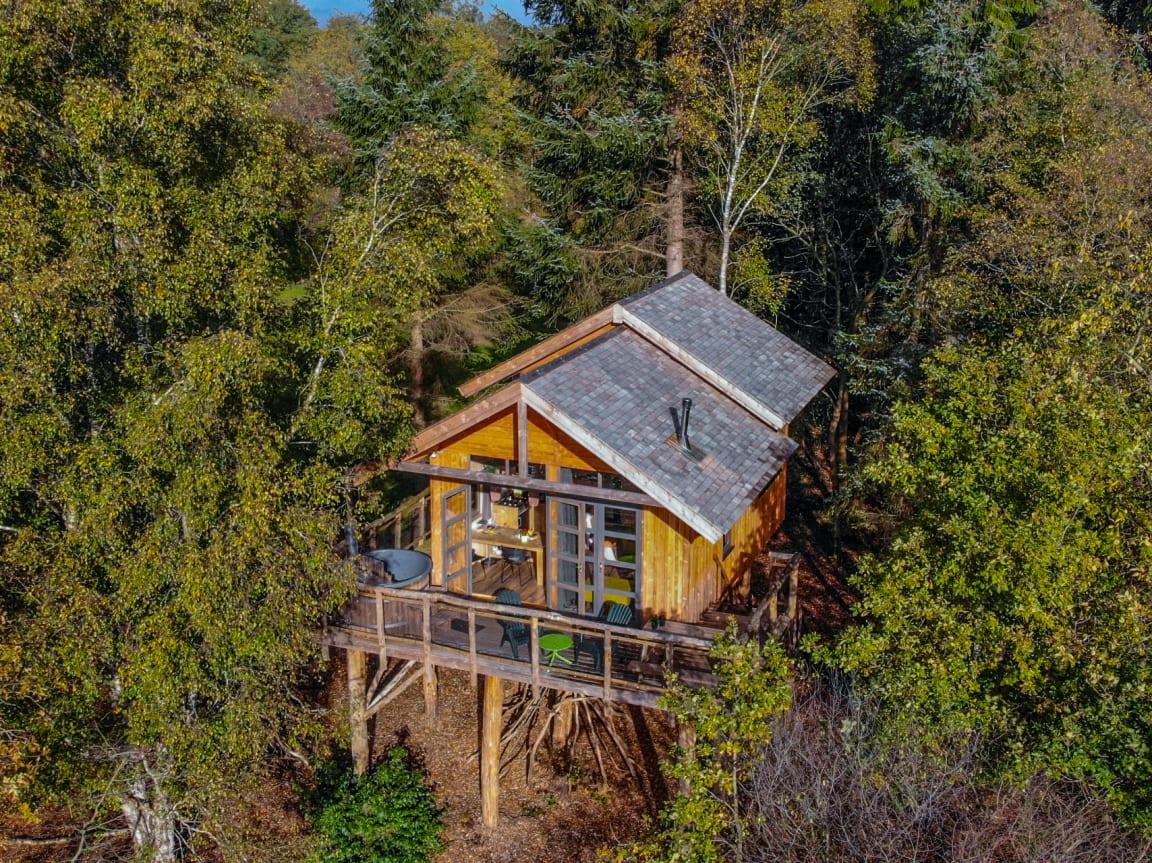 Hondvriendelijke boomhut in Drenthe