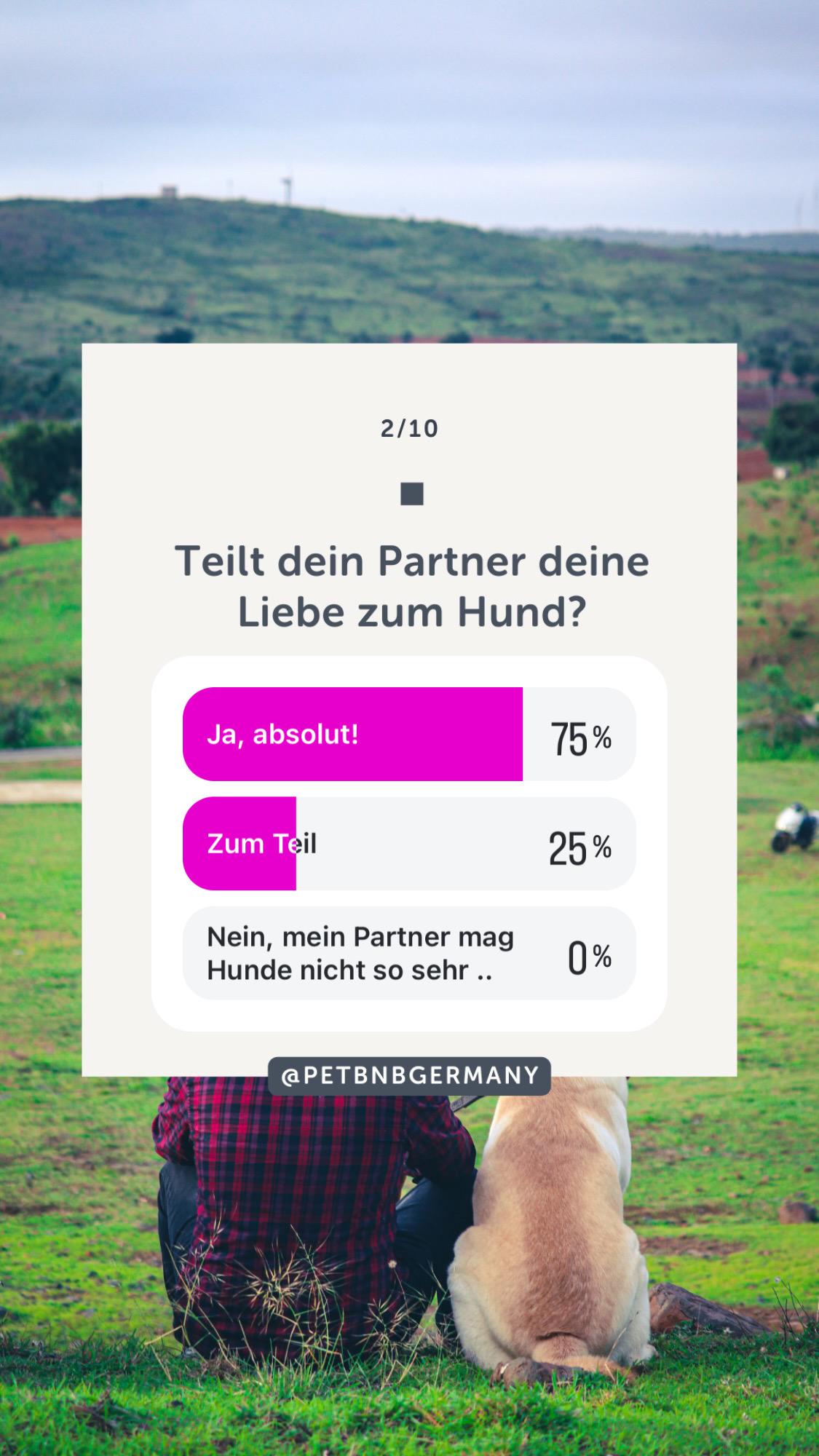 Wie Hunde unsere Partnerschaften beeinflussen