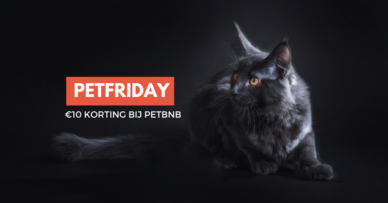 Black Friday voor huisdieren: Hoe jij én je viervoeter kunnen profiteren